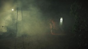 Ghost Flight Night Halloween Forest Stock Footage Video (100% Royalty-free) 1109211463 | Shutterstock