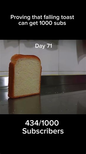 Proving that falling toast can get 1000 subs #memes #funny #bread #jokes