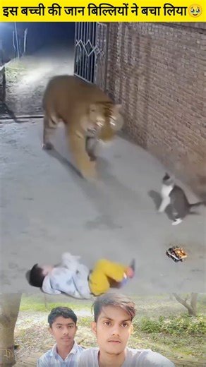 Sumit Patel on Instagram: "🥺🥹. . . #inshatashorts♥︎♥︎ 🥺🥹🥺🥹🥺🥹🥺🥹🥹🥺🥺"