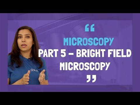 Microscopy Part 5- Bright Field Microscopy Basics | Principle and Working | In Hindi