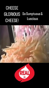 CHEESE GLORIOUS CHEESE!!! #rememberthis #80s #80snostalgia #80spopculture #80stv #80skids #childhoodnostalgia #80scommercials #retrocommercials #dairycommercials | The Retro Retake