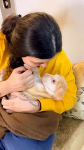 219K views · 10K reactions | Bahut pyaar se camera dekhna hai isko #puppy #puppies #puppylove #puppylovers #puppylife #dogmother #dogmom #dog #dogs #dogfood #doglife #doglover #doglovers #supportus #blessings #love #reels #viral #instareels #insta #instagram #fb #fbreels #fbreelsvideo #fbreelsfypシ゚viral | Bezubaanjaan1517 | Facebook