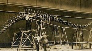 Discovery and excavation of dinosaur bones and the competition among collectors | Britannica