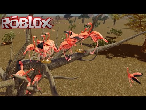 MUITAS CONFUSÕES JOGANDO de FLAMINGO no SAVANNAH LIFE da ROBLOX