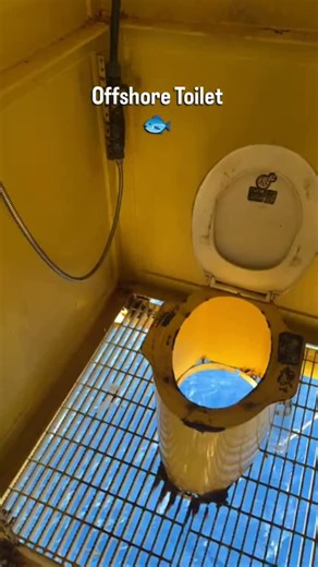FIFO Australia on Instagram: "No need to read the back of the shampoo bottle. 🧐 #fifo #australia #mining #mininglife #fifolife #fifoaustralia #money #miningjobs #jobs #newzealand #offshore #offshorelife"