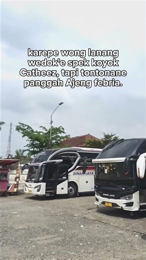 Ajeng Febria-Cinta mulia || SINAR JAYA 8XA, SINAR JAYA 94VX, & LAJU PRIMA LP57 #ajengfebria #catheez