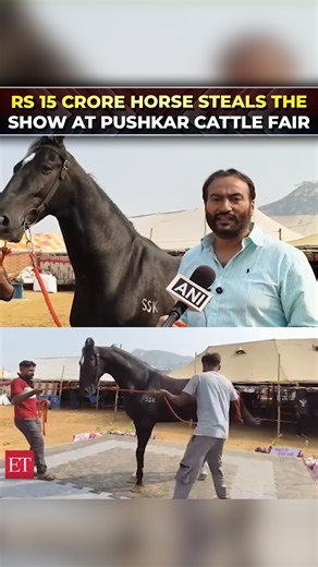 🐎💰 #PushkarCattleFair sees spectacular Rs 15 #crore #horse from #Chandigarh 🌟🔴 Catch the day's latest news here ➠ https://ecoti.in/Q0hxtY 🗞️ | The Economic Times