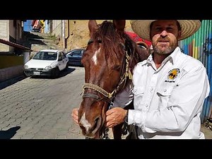 Myler Combination Bit