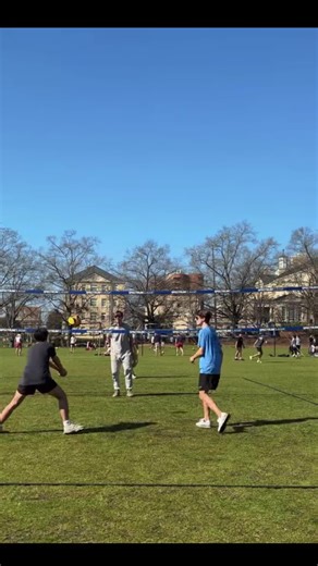 A Deep Dive into Volleyball Techniques