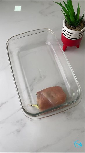 Os famosos rolinhos de peito de frango. Todo mundo os ama! | Easy Recipes to Learn