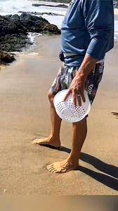 81K views · 202 reactions | Man Finds Creepy Worms in Sand  #facts #viral #trending #creepy #shocking #weirdfacts #nature #animals #worms #mystery #amazing #shorts #educational #explore #wow | arijit maiti facts | Facebook