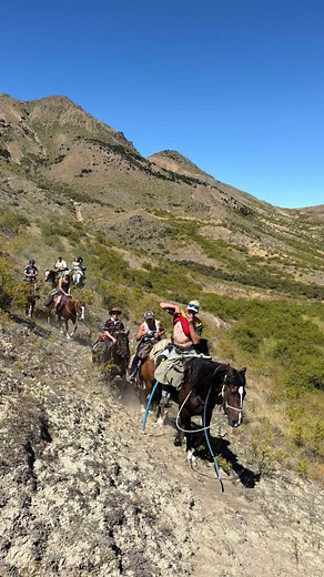 One year of me videoing everything and you hating it - bring on next | Olivia Gibb