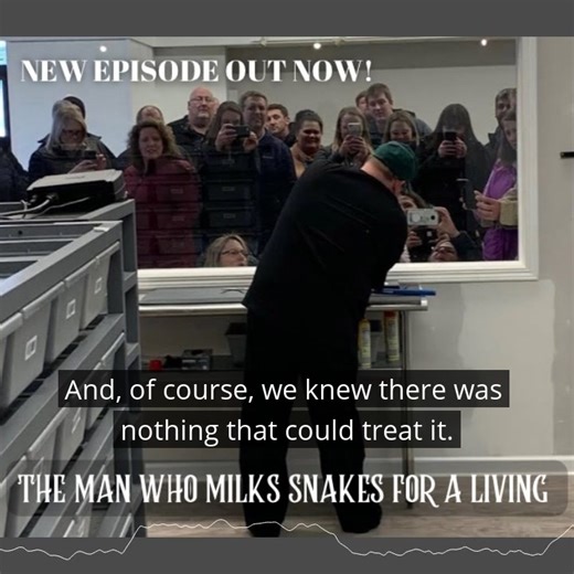 1.2K views · 13 reactions | MToxins Venom Lab produces high volumes of snake and scorpion venom for the production of antivenom, which saves lives. Click the link in bio to hear the CEO, Nathaniel Frank, share his story! | Our American Stories with Lee Habeeb | Facebook