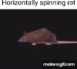 horizontally spinning rat on Make a GIF