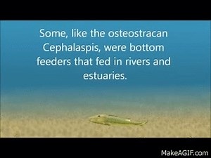 Devonian Period: The Age of Fish on Make a GIF