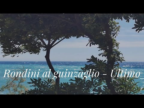 Rondini al guinzaglio (Portami con te) - Ultimo con testo