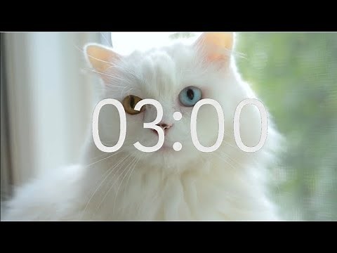 3 Minute Timer with Relaxing Music: Cat Theme