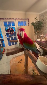 38K views · 1.8K reactions | ❣️ Moses ❣️ We had some one-on-one time...