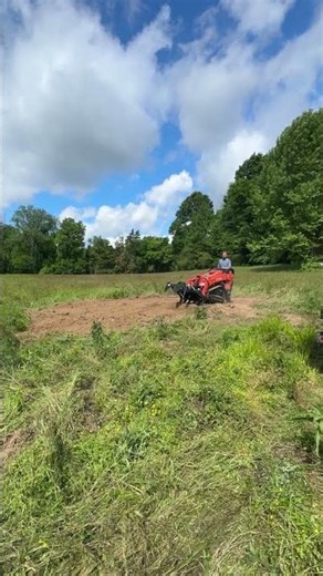 Kubota SCL 1000 Smoothing Dirt After Junk Pile Removal | Leiper’s Fork TN