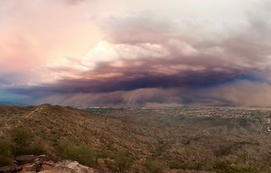 Survival 101: How to survive a sandstorm