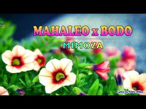 Mahaleo x Bodo - Mimoza (Nouveauté Gasy Lyrics 2025)