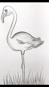 Easy Pencil Sketch #drawing #pencilsketch | Drawing Book