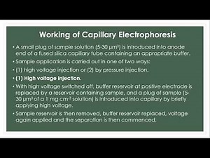 Capillary electrophoresis