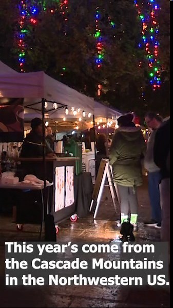 HEB Christmas Trees Arrive InTravis Park
