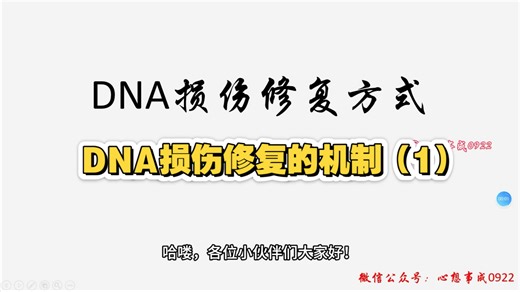 DNA损伤修复机制（1）