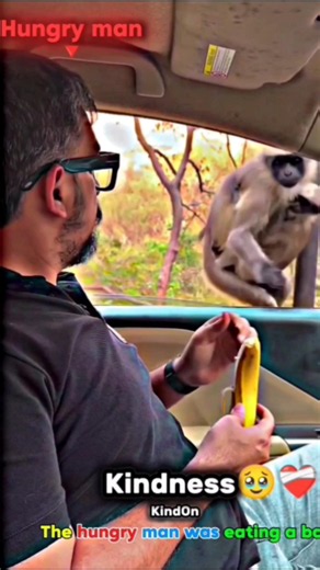 Feeding Hungry Monkeys with Love Faith in Humanity Restored ❤️#humanity #respect #viralvideo #shorts