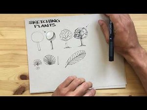 Sketching Plants
