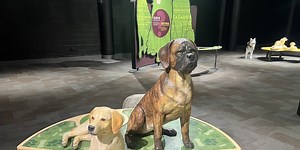 Learning more about human’s best friend at Discovery Place Science