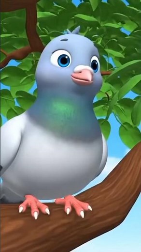 Cute Pigeon Story 🕊️ | Funny Animated Short | Cartoon Video