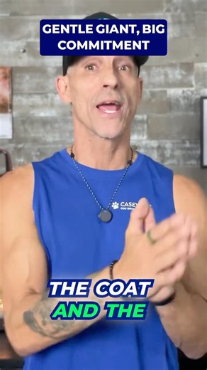 The Gentle Giant Most People Completely Misjudge #shorts