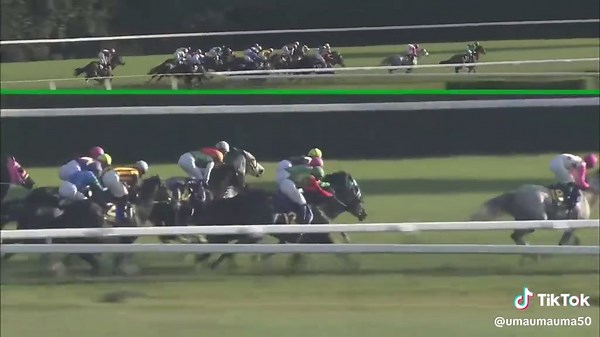 Gold Ship Kikka Sho Highlights 2012