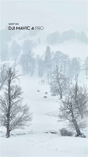白に沈む世界。❄️ DJI Mavic 4 Proが、雪に覆われたナラティの空を静かに漂う。 音も時間も、ここでは溶けていく。 🎬：linzhongniaoer #DJI #DJIMavic4Pro #ドローン #空撮 #カメラドローン #雪景色 #エモい #cinematic