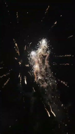 Dare Devil #fireworks #fyp #silvester #pyro