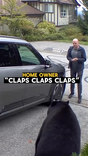 man saves himself from a bear