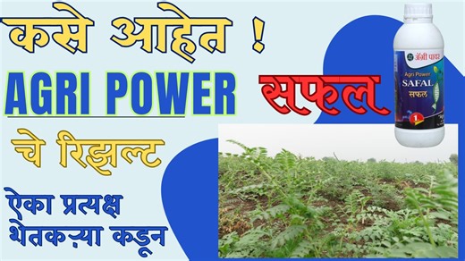 फवारणी करताना अर्ध्यात औषध संपल.श्री सचिन ना. इंगोले#agripower | Agri Power