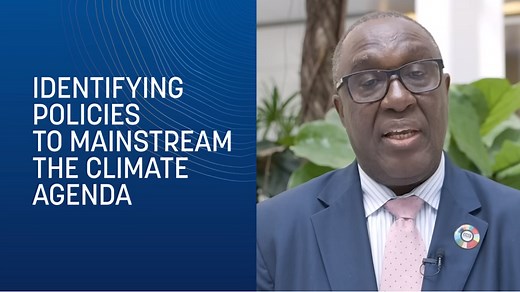 What Are Country Climate and Development Reports and Why Are They Important?