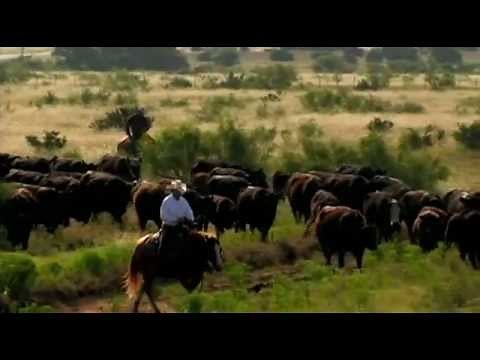I Am Angus - Joe Leathers, 6666 Ranch - RFD-TV