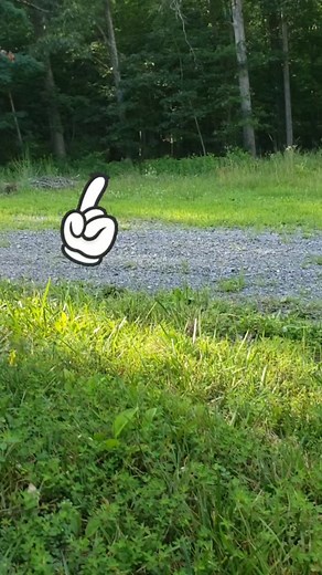 unkown animal caught on camera in woods #fyp #creepy #scary #scared #unexplained #unidentified #unknown #mystery #paranormal #creature #dogman #bigfoot #cryptid #wv