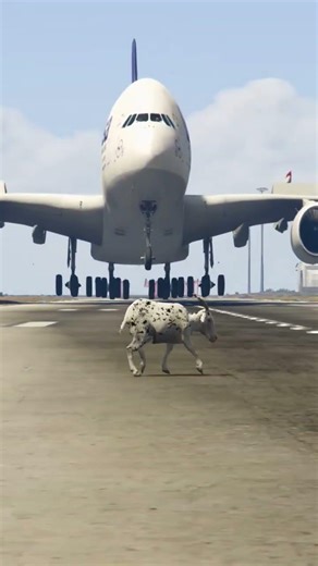 Unexpectedly, A Goat Appeared During The Plane Landing | Grand Theft Auto V ||