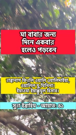 13K views · 146 reactions | The history of #photography began with...