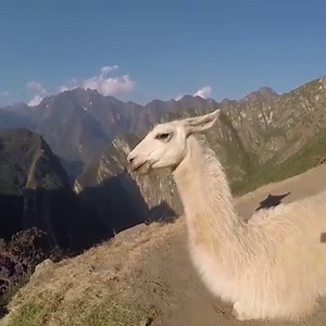 607K views · 661 reactions | Bucket List Travels on Reels | Facebook