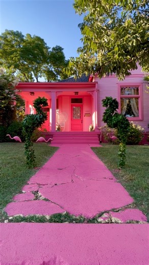 My house flamingos today🥲 These aren’t permanent, but maybe one day someone can carve me two and stake them into the ground like fence posts? Idk but they looked really cool out here today🥰🦩🌱🦩💖 | House of Adora