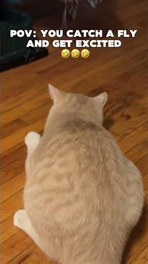 oh so you're a hunter now 😂😭🤣💀