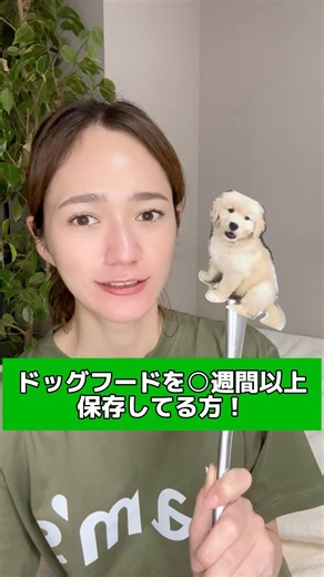 tam’s タムズ | おなかと皮膚のサプリメント on Instagram: "ドッグフードは空けたらなるべく早く使い切りましょう😊✨ タムズの口コミはストーリーのハイライトから🐶 #タムズ #犬 #皮膚 #犬の皮膚トラブル #腸活 #犬の腸活 #犬の健康 #食物アレルギー #乳酸菌 #犬のアトピー #ビフィズス菌 #酪酸菌 #オメガ3 #オメガ6 #tams #パラカゼイ #ケストース #犬のサプリメント #犬の食物アレルギー #犬のアレルギー #犬の皮膚病 #犬の健康ごはん #犬の手作りご飯 #犬のご飯 #犬の健康維持 #犬の健康管理"