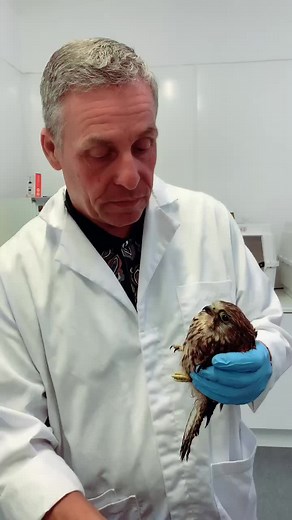 Lincolnshire Wildlife Park on TikTok