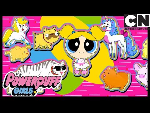 Bubbles’ Cutest Pets | Powerpuff Girls | Cartoon Network